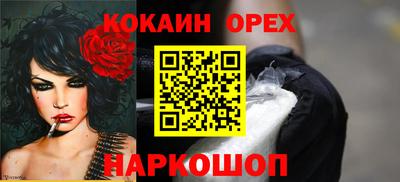 крисы Бийск