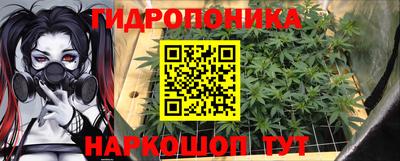 крисы Бийск