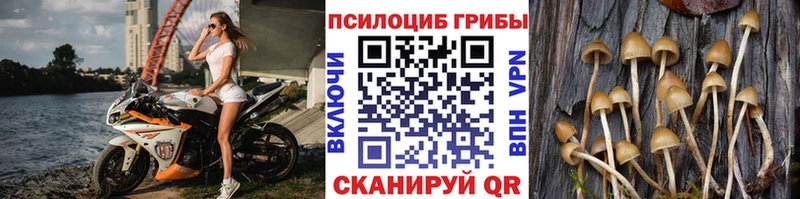 Галлюциногенные грибы Cubensis  сайты даркнета формула  Чусовой 