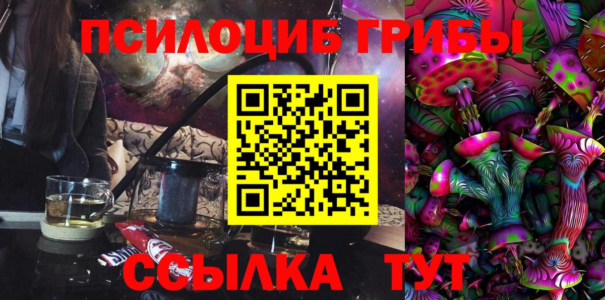 хочу наркоту  Галлюциногенные грибы ЛСД  Чусовой  Галлюциногенные грибы прущие грибы 
